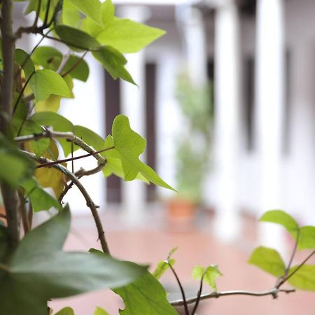 Adanar-Las Columnas Granada Ngoại thất bức ảnh
