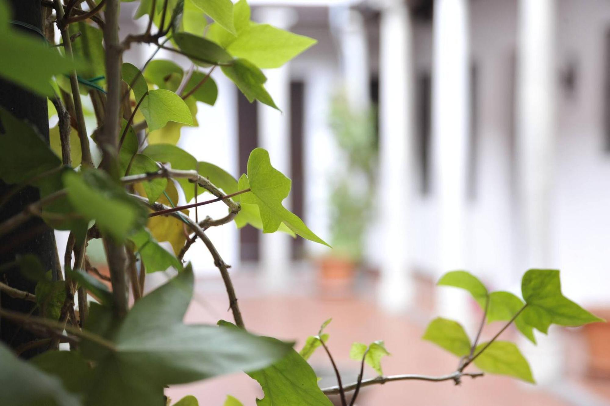 Adanar-Las Columnas Granada Ngoại thất bức ảnh